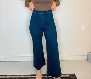The Lena Cropped Flares