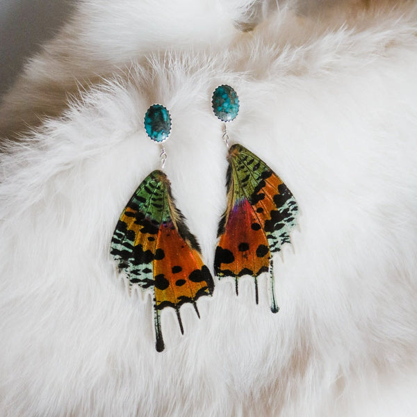 Butterfly Wings // American Turquoise + Sunset Moth Wing Earrings