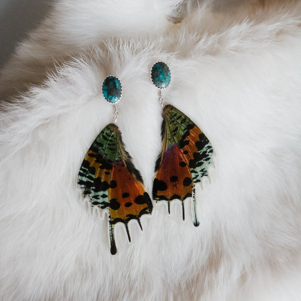 Butterfly Wings // American Turquoise + Sunset Moth Wing Earrings