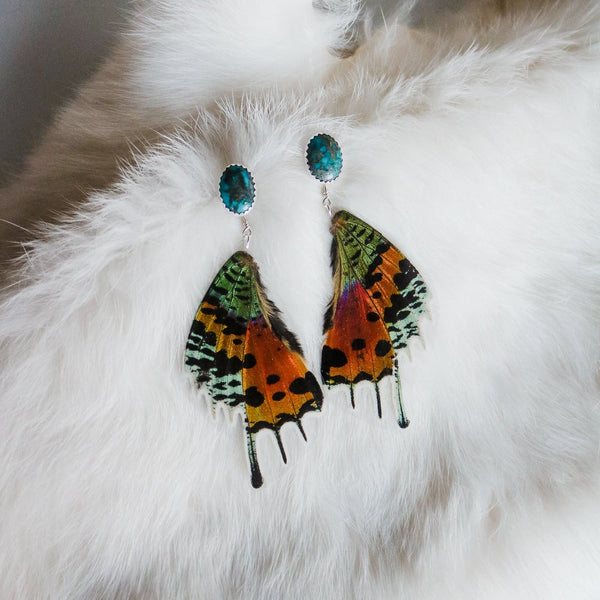 Butterfly Wings // American Turquoise + Sunset Moth Wing Earrings