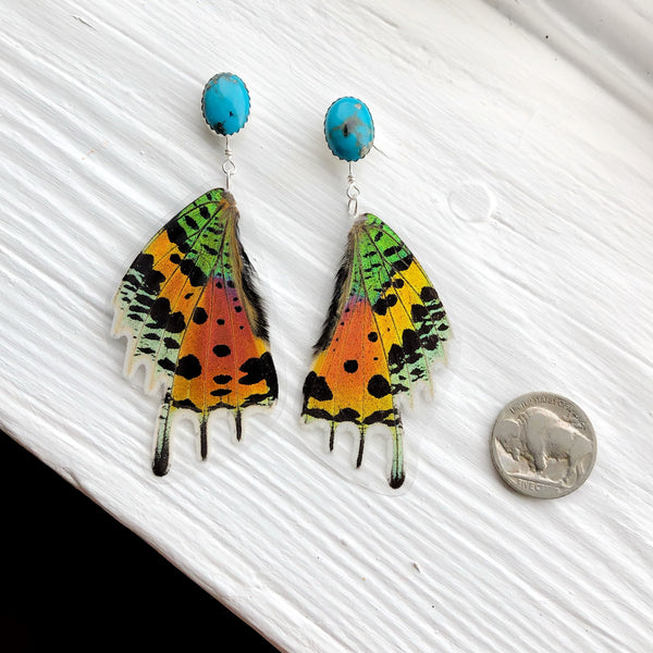 Butterfly Wings // American Turquoise + Sunset Moth Wing Earrings