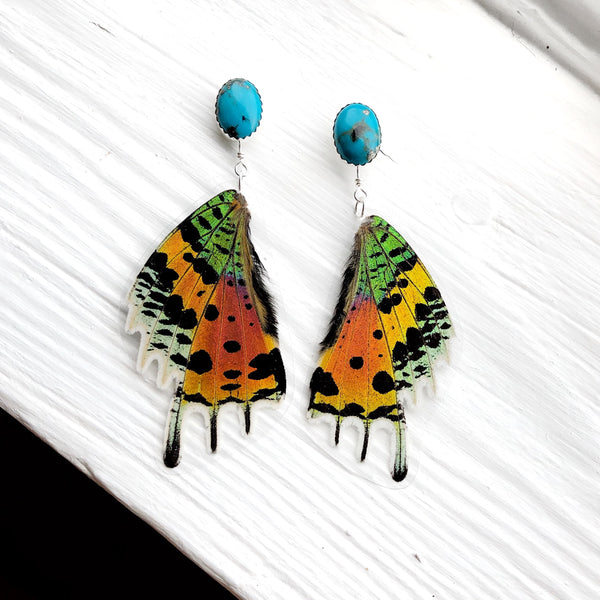 Butterfly Wings // American Turquoise + Sunset Moth Wing Earrings